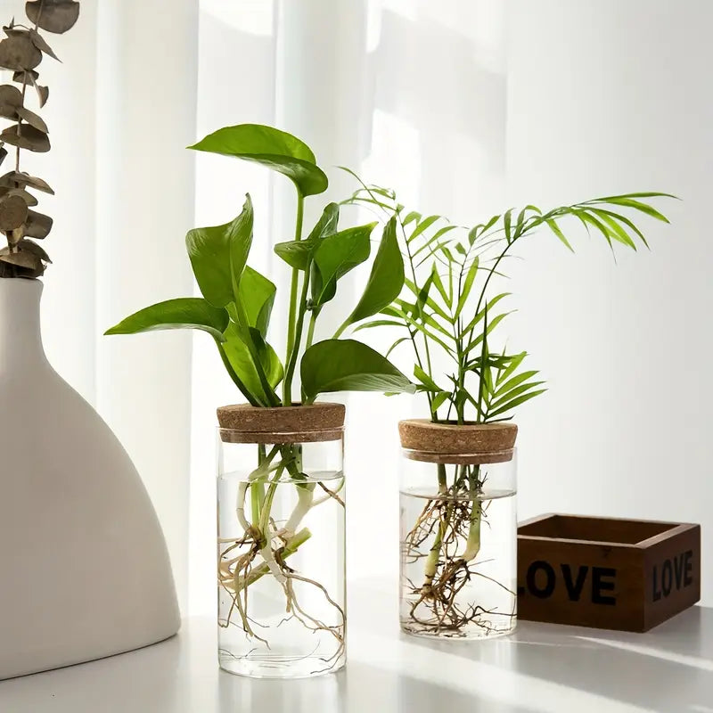 Florero para plantas hidropónicas