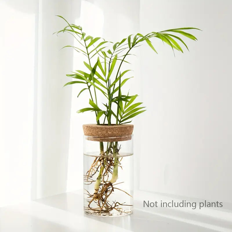 Florero para plantas hidropónicas