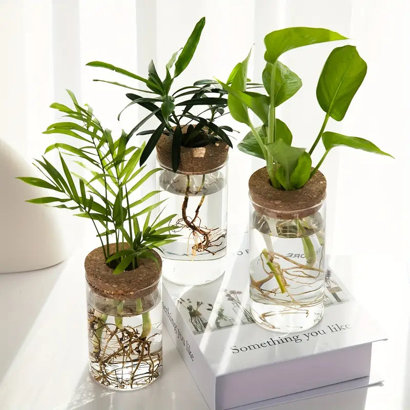 Florero para plantas hidropónicas
